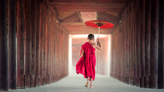 Learning the Buddhist Concept of Loving-Kindness young buddhist monk holding an umbrella